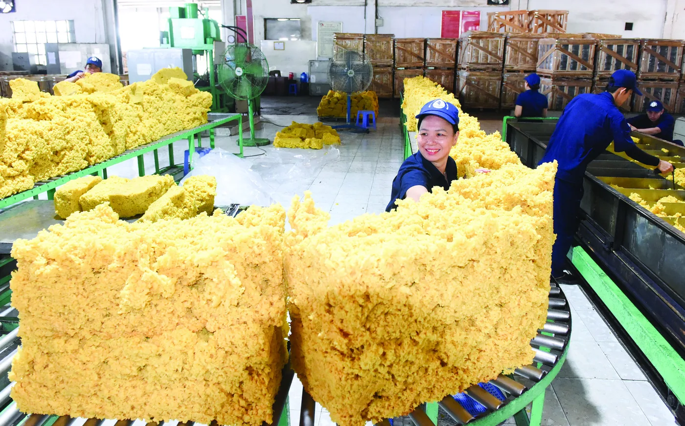 Dây chuyền sản xuất mủ cốm của Công ty.