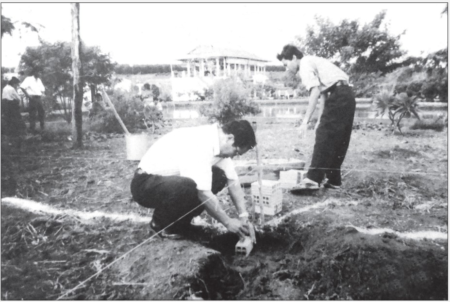 Mô tả hình 20