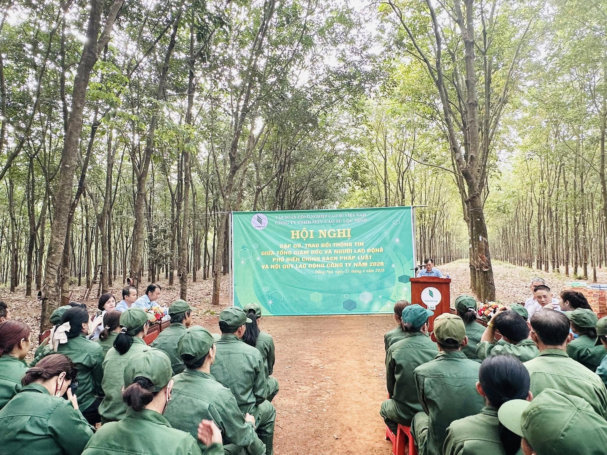 Hoạt động 2