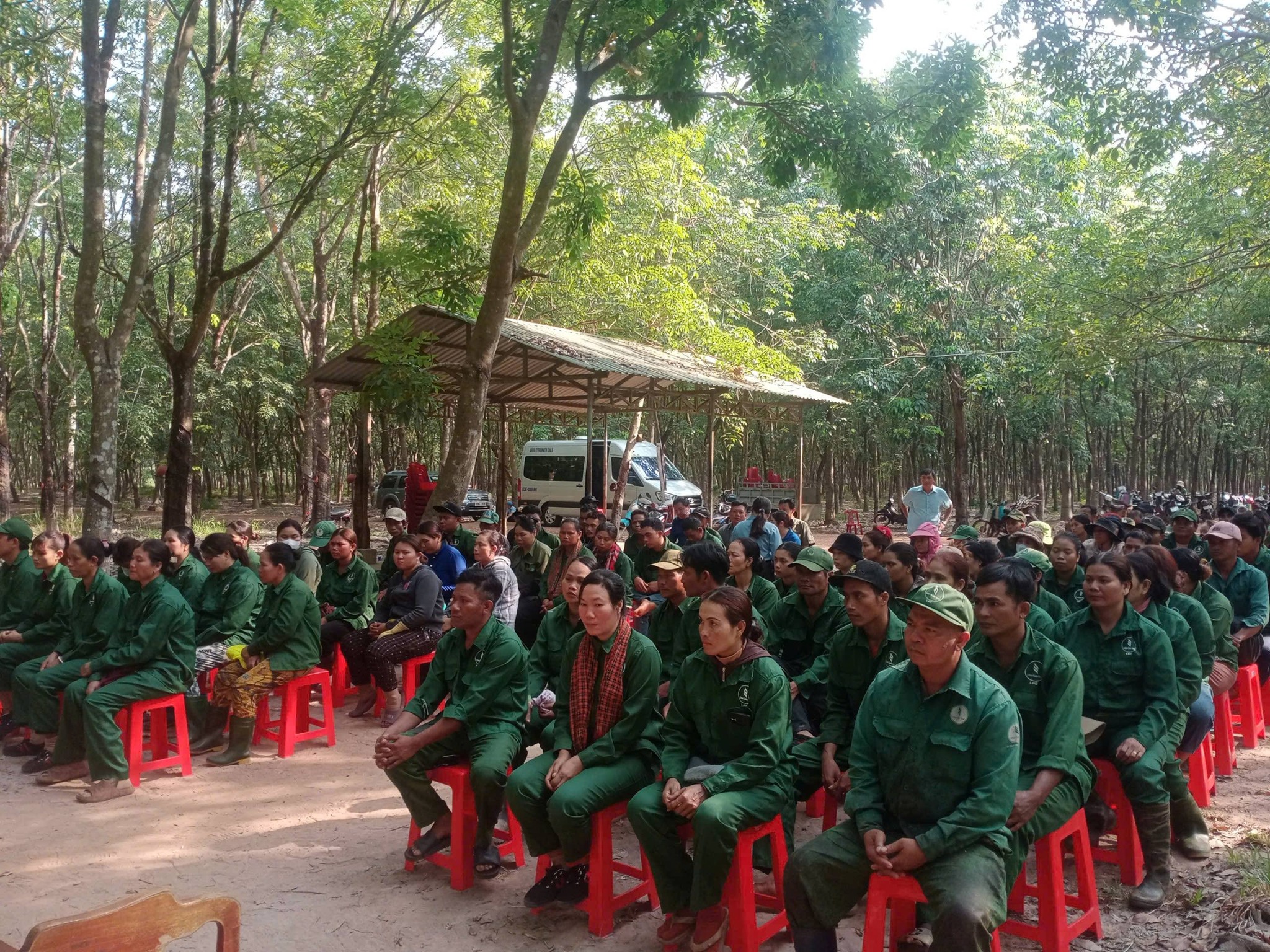 Hoạt động 1